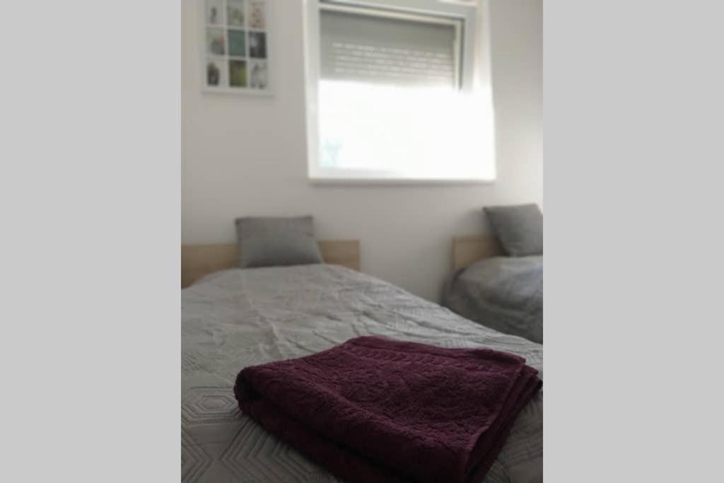 Toelgyerdo Apartman Kismaros Exterior foto