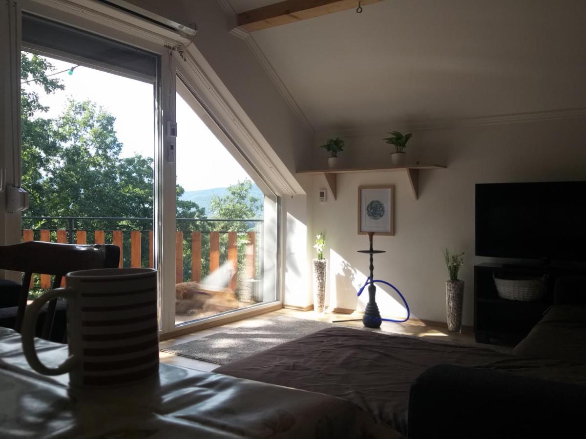 Toelgyerdo Apartman Kismaros Exterior foto